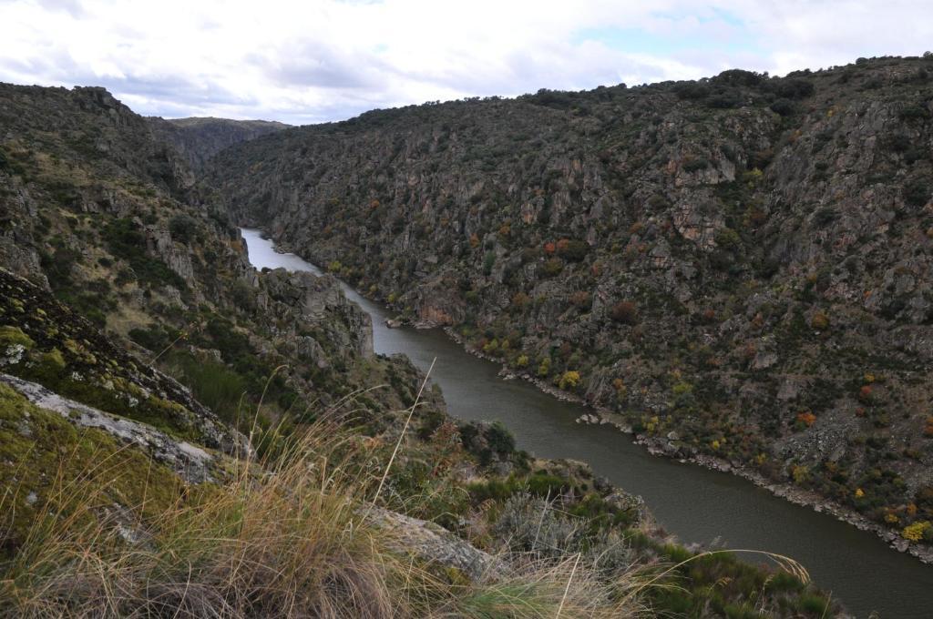 Posada Real La Mula De Los Arribes Villardiegua de la Ribera エクステリア 写真