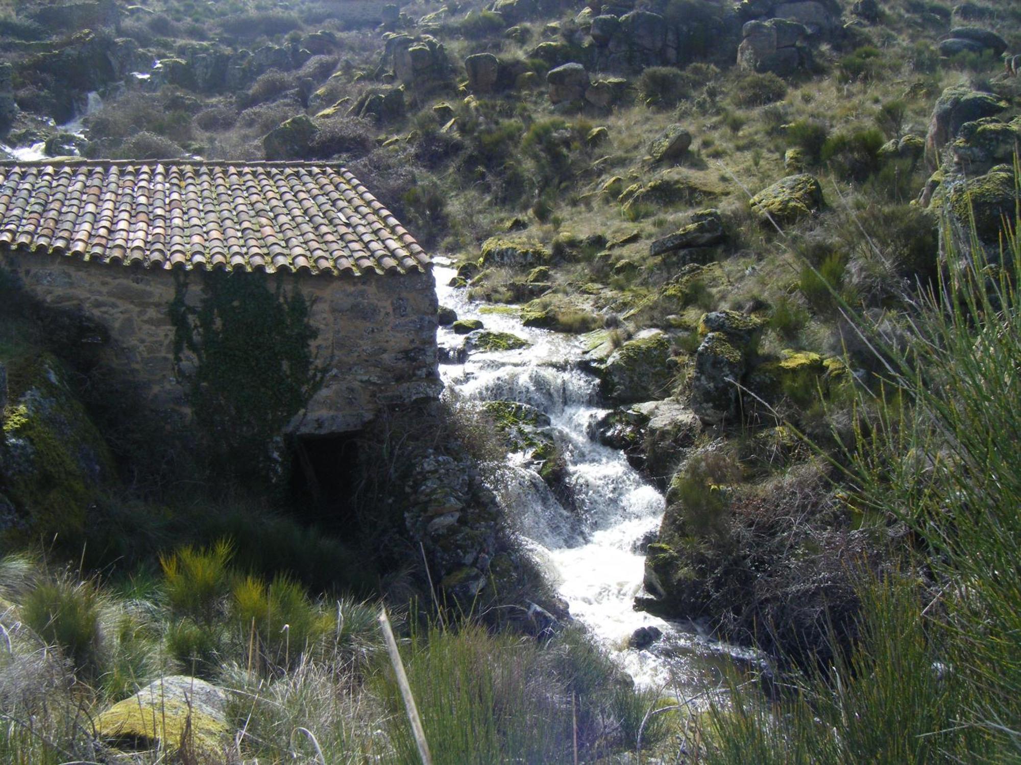 Posada Real La Mula De Los Arribes Villardiegua de la Ribera エクステリア 写真